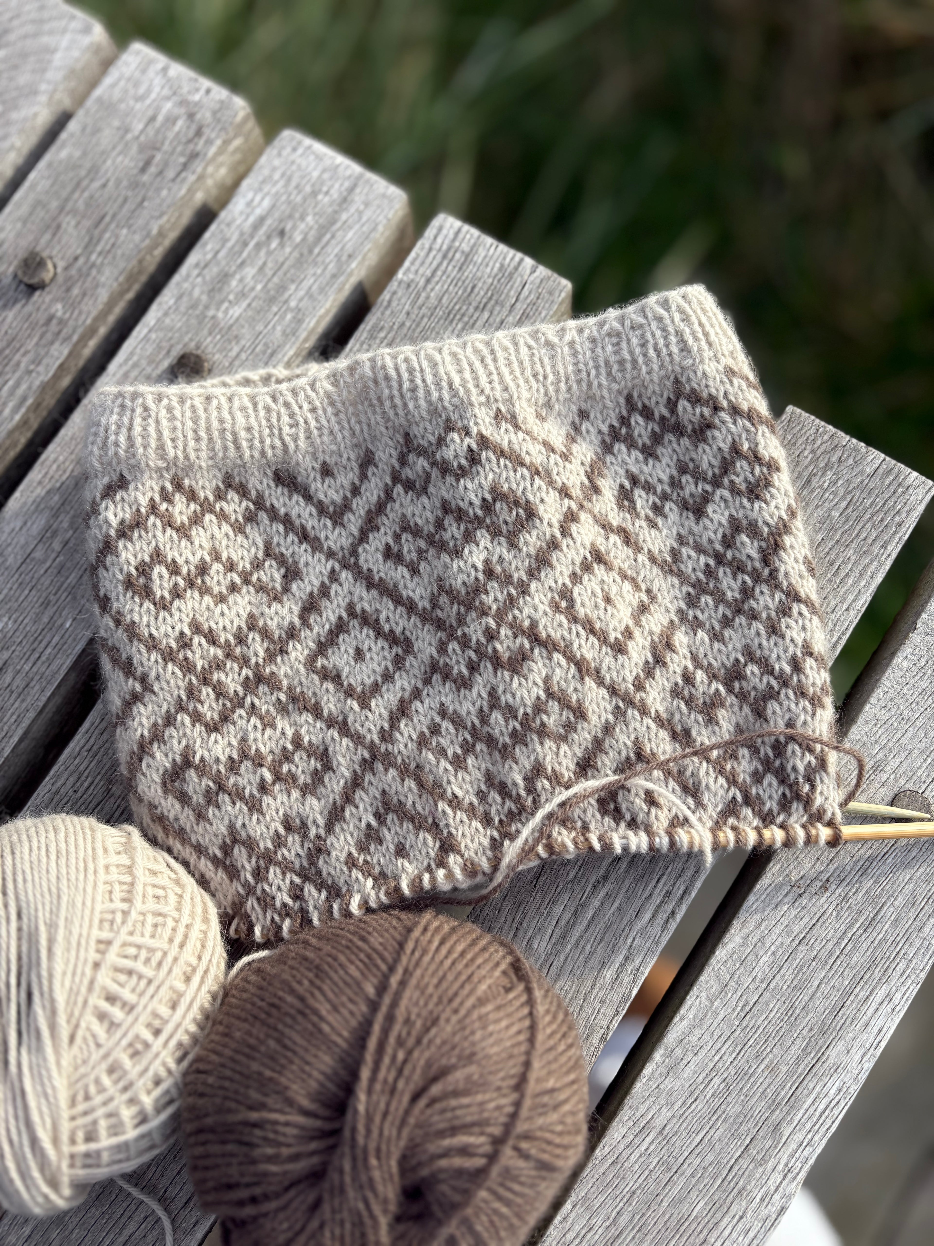 Northern Cowl (Deutsch)